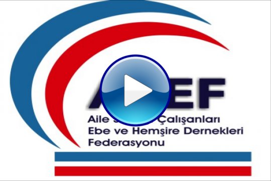 ASEF Başkanı Ayşegül Durgut'un sunumu